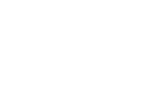 NY Development