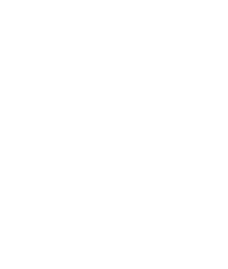 NY Security